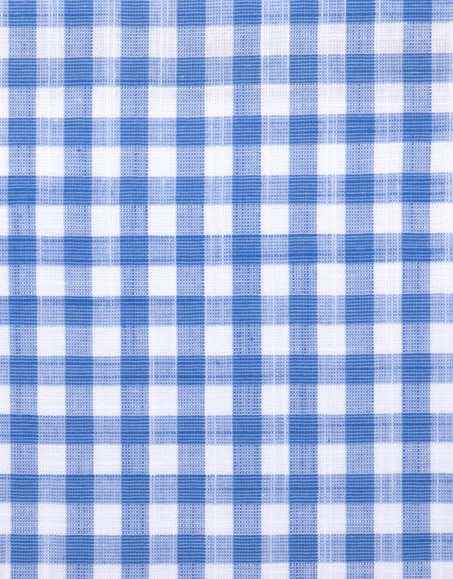 Raglan Blue Gingham Short Sleeve Shirt