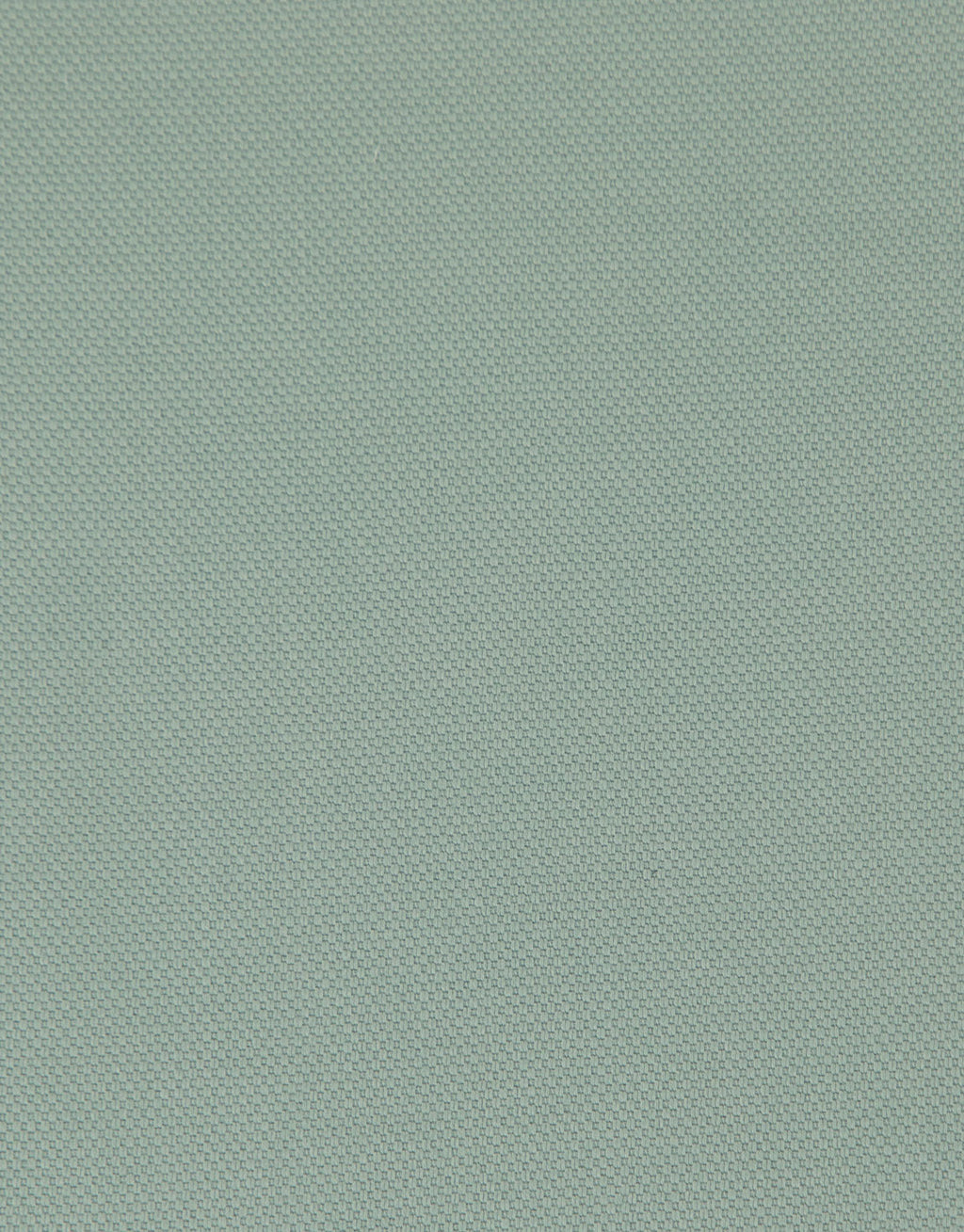 Sumner Mint Green Textured Shorts