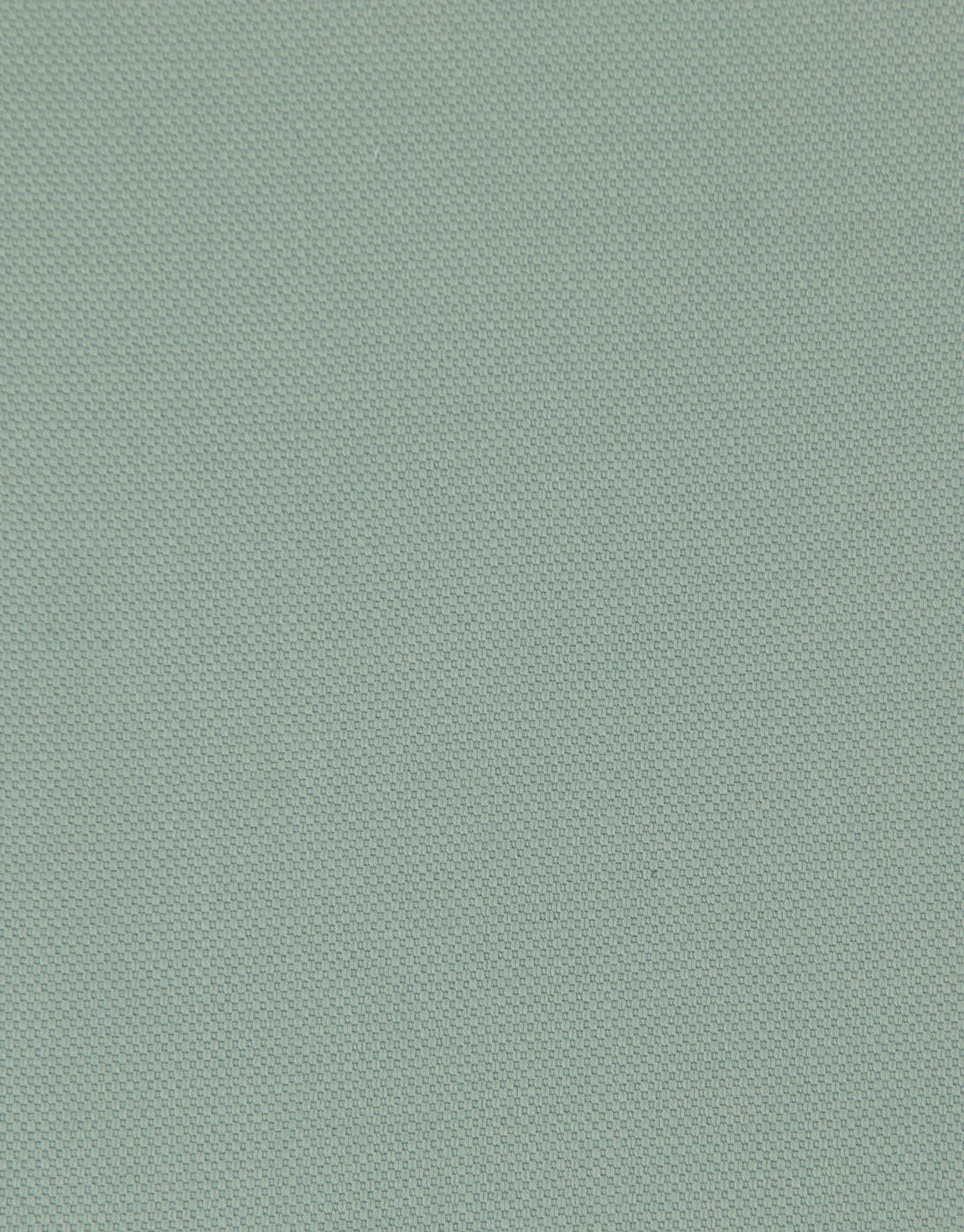 Sumner Mint Green Textured Shorts